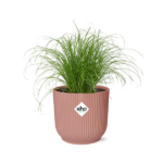 Cyperus Alternifolius Zumula w ELHO Vibes Fold 14cm różowy