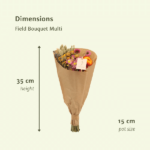 Suszone kwiaty Field Bouquet Multi - Ø15 - ↨35cm - obrazek 2
